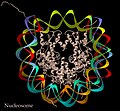 Nucleosome DNA/protein complex, ribbon schematic