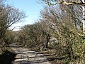 Old Road - geograph.org.uk - 1746376.jpg