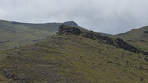 Oldoinyo Lesatima (in the background)