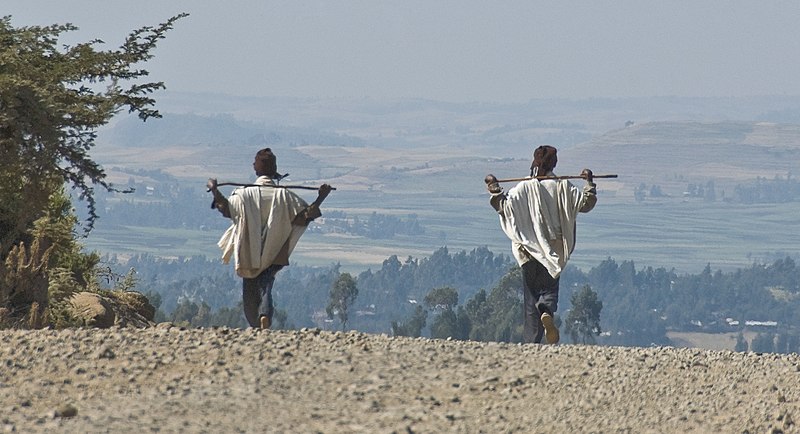 File:On The Road To Simien Mountains National Park, Ethiopia (2443530554).jpg
