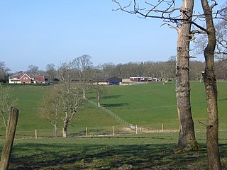 <span class="mw-page-title-main">Ossemsley</span> Human settlement in England