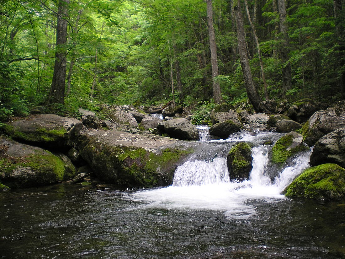 Zapovednik Lazovski