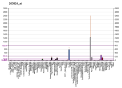 PBB GE TSPAN8 203824, fs.png'de