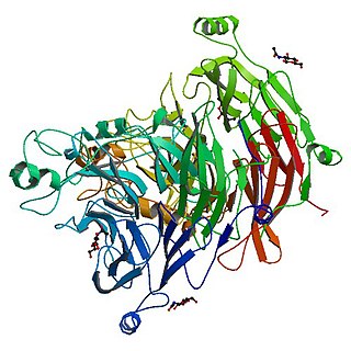 <span class="mw-page-title-main">Sema domain</span>