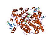 PDB 1ebv EBI.jpg