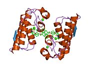 PDB 1j1a EBI.jpg