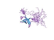 1wfq: Cấu trúc trong dung dịch của domain chống choáng lạnh thứ nhất của protein KIAA0885 (protein UNR) ở người