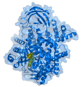 <span class="mw-page-title-main">P110α</span> Human protein-coding gene