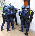 Guard intervention team (peloton d'intervention)