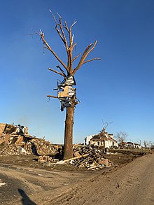 A photo of some of the damage in Princeton from the 2021 Western Kentucky tornado. PRINCETONKYTORNADO.jpg