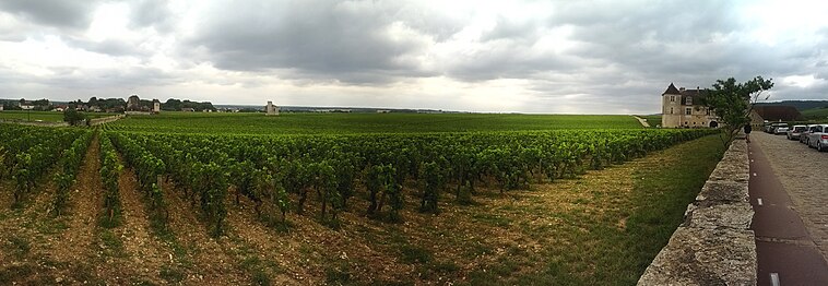 Panorama du vignoble et du château.