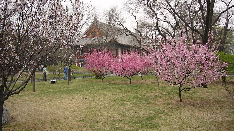 File:PekingUniversityPic2.jpg