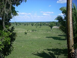 Conquista Del Petén