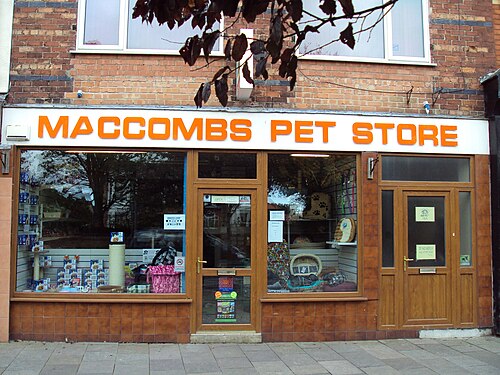 Pet shop, Hoylake