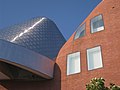 فضاهای انحنادار: ساختمان پیتر بی لوئیس (در دانشگاه کیس وسترن رزرو) اثر فرنک گری