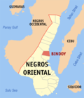 Thumbnail for Bindoy, Negros Oriental