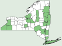 Phlox paniculata NY-dist-map.png
