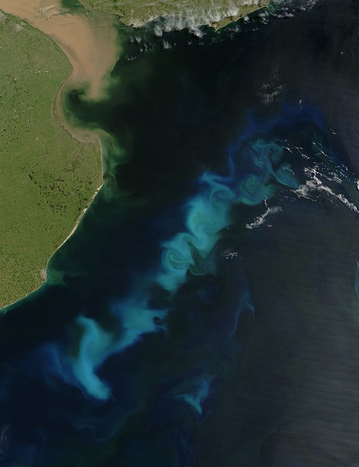An oceanic phytoplankton bloom in the South Atlantic Ocean, off the coast of Argentina covering an area about 300 by 50 miles (500 by 80 km)