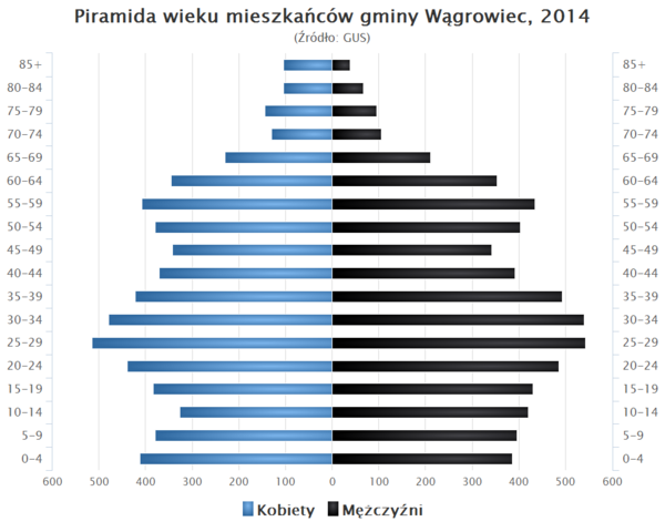 Piramida wieku Gmina Wagrowiec.png