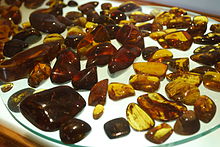 Polished Amber stones from Simijovel at the Museum of Amber (Museo del Ambar) in San Cristobal de las Casas, Chiapas, Mexico PolishedAmberMuseumAmberSanCris03.JPG