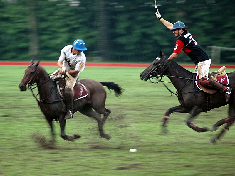 File:Polo Chase Large.JPG