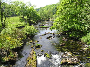 The Afon Lledr from the bridge at Pont-y-Pant PontypantP6073141.JPG