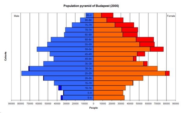 Population pyramid of Budapest (99.2% non-Romany inhabitants), see: Demographics of Budapest
