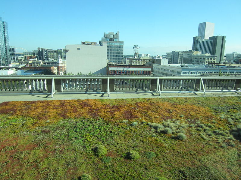 File:Portland Central Library, Oregon (2012) - 157 - green roof.JPG