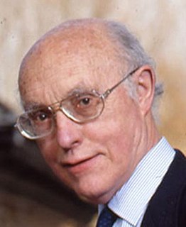 <span class="mw-page-title-main">Luigi Arialdo Radicati di Brozolo</span> Italian theoretical physicist (1919–2019)