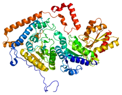 Protein BCKDHA PDB 1dtw.png