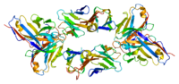 Thumbnail for T-cell surface glycoprotein CD3 epsilon chain