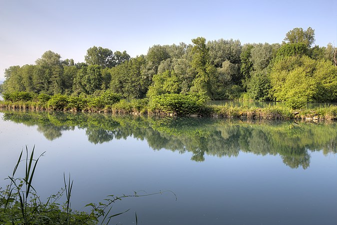 27 mai : Reflet à la RNN du Haut-Rhône, par Hélène Rival.