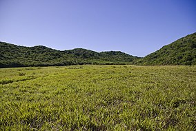 RPPN Mata Estrela Rio Grande do Norte.jpg