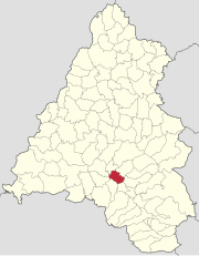 Localizarea în județul Bihor