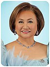 Rep. Linabelle Ruth Villarica (19th Congress).jpg