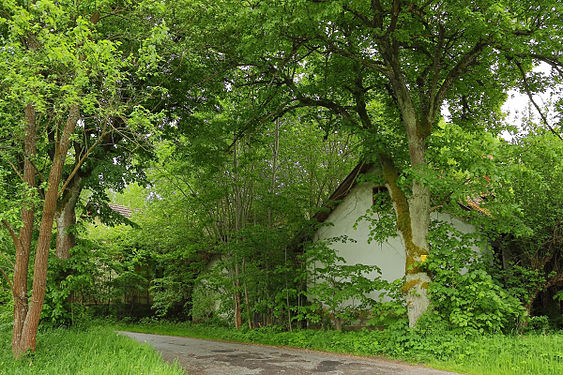 Ehemalige Arbeitersiedlung bei der Anderlfabrik (NÖ) Former workers' settlement at the Anderfabrik (Lower Austria)