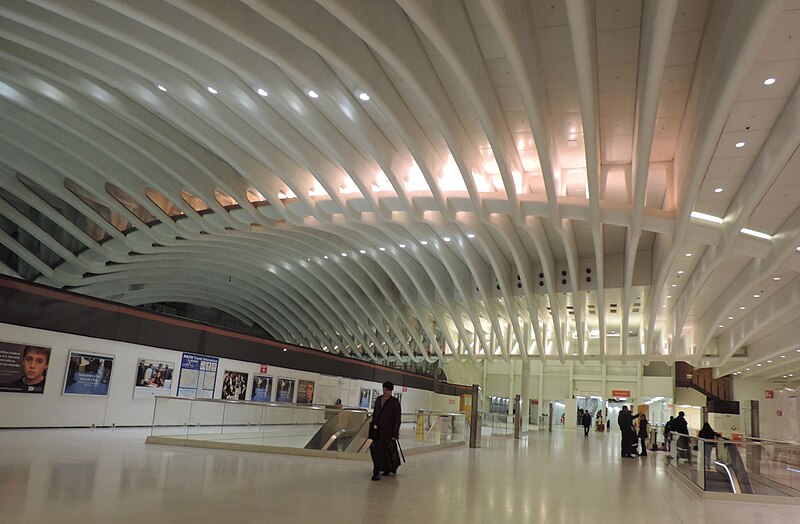 File:Ribs in PATH concourse WTC jeh.JPG