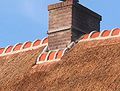 (nl: Rieten dak met vorstpannen en gaas) Thatched roof