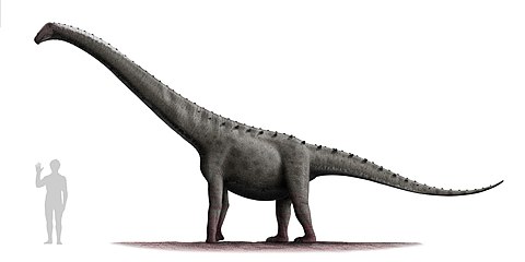 Rinconsaurus