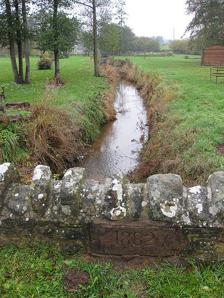 File:Rudhall Brook on a dismal November morning - geograph.org.uk - 1575852.jpg