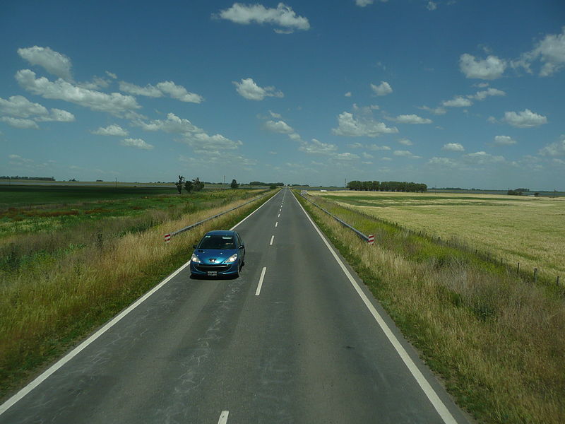 File:Ruta Fortín Olavarría - Trenque Lauquen 72.JPG