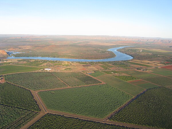 Ord River sandalwood plantation near Kununurra