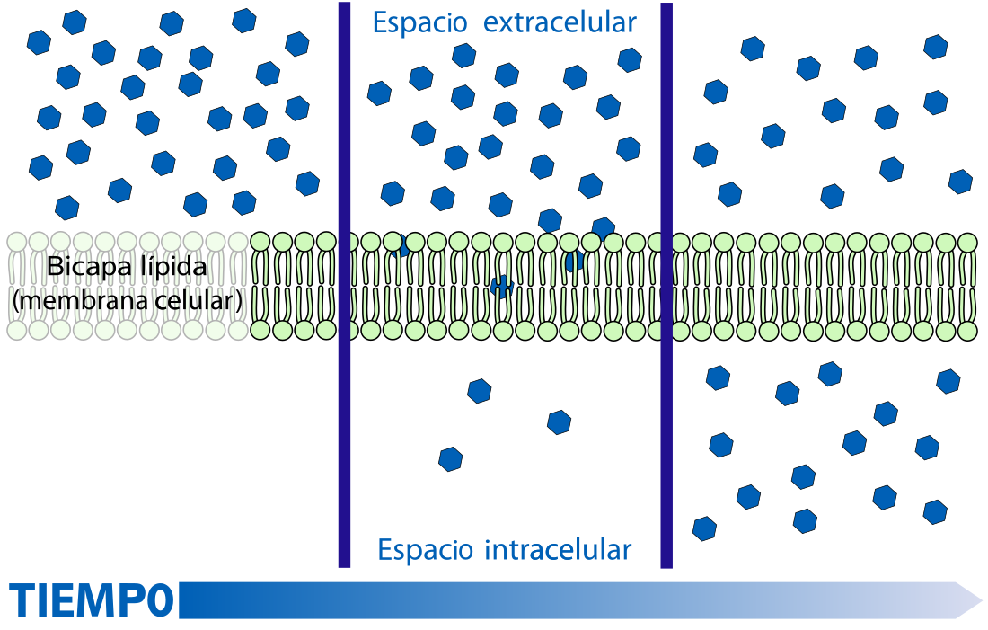 Difusión (física)