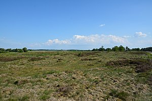 Schleswig-Holstein, Elpersbüttel, Landschaftsschutzgebiet Jägersburger Heide NIK 3297.jpg