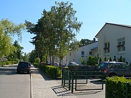 Schmargendorf Goldfinkweg