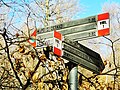 Guidepost above Piano delle Alpi. The main trail continues straight towards Cascina Carolza. Turn left for an excursion to Erbonne.