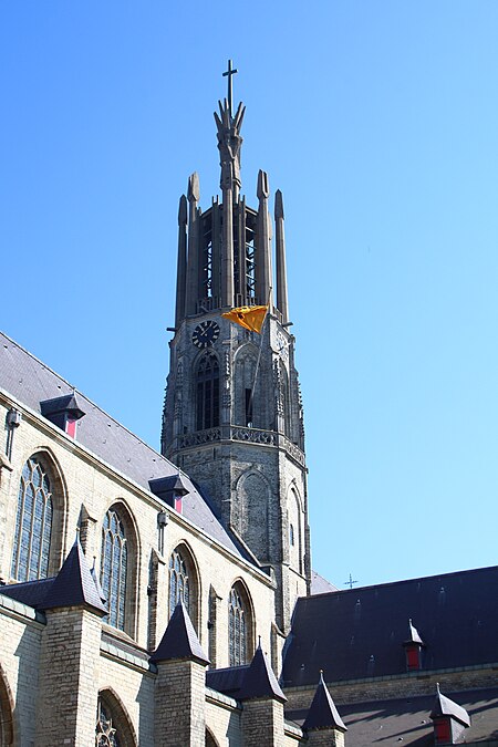 Sint Willibrordusbasiliek Hulst 02