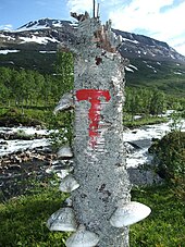 Marked hiking route in Junkerdal National Park.