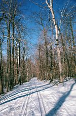 Piste de ski de fond au Mont Saint-Bruno