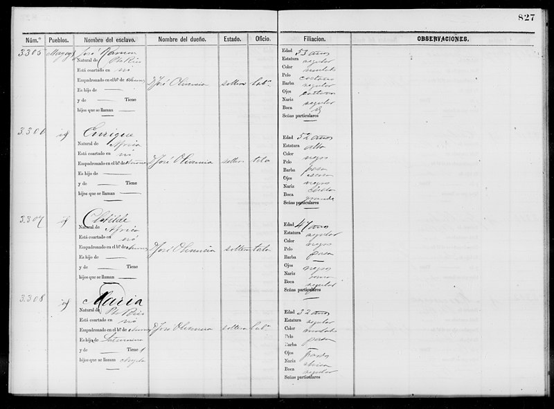 File:Slave Schedules for District 4, Mayaguez(...) - NARA - 63811126 (page 409).jpg